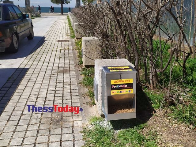 Θεσσαλονίκη: Ταΐστρες για τα αδέσποτα τοποθέτησε στη Νέα Παραλία ο δήμος (ΦΩΤΟ)