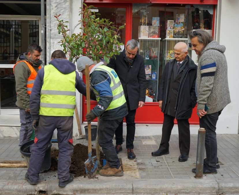 Πάνω από 3.000 δενδροφυτεύσεις μέχρι την άνοιξη